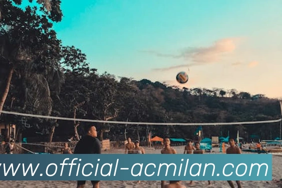 米兰体育服务体系