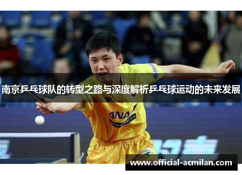 南京乒乓球队的转型之路与深度解析乒乓球运动的未来发展