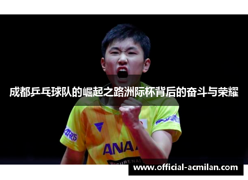 成都乒乓球队的崛起之路洲际杯背后的奋斗与荣耀