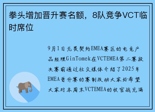 拳头增加晋升赛名额，8队竞争VCT临时席位