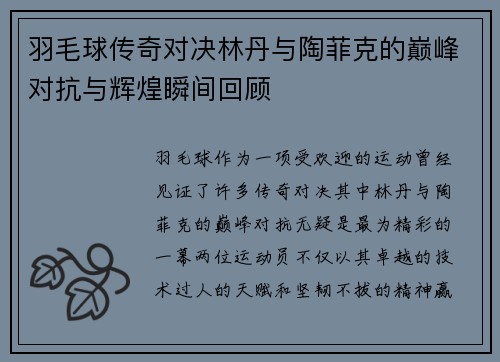 羽毛球传奇对决林丹与陶菲克的巅峰对抗与辉煌瞬间回顾